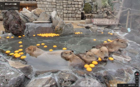 温泉ストリートビュー