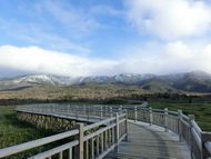 トリップアドバイザー