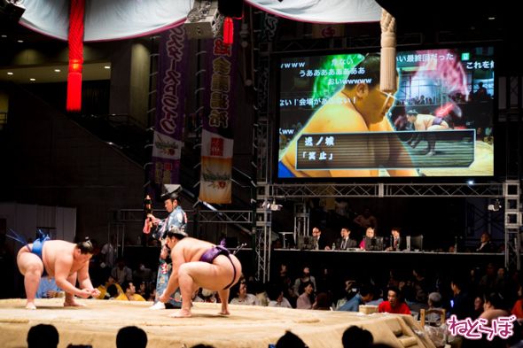 ニコニコ超会議2015リアルSUMOU