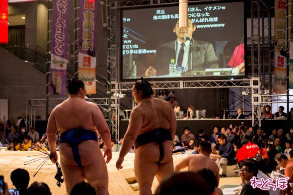 ニコニコ超会議2015リアルSUMOU