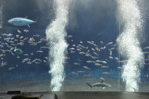 葛西臨海水族園
