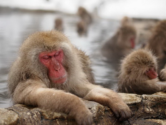 トリップアドバイザー