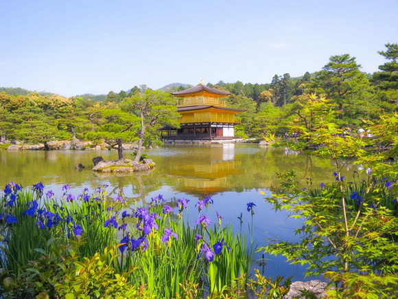 トリップアドバイザー