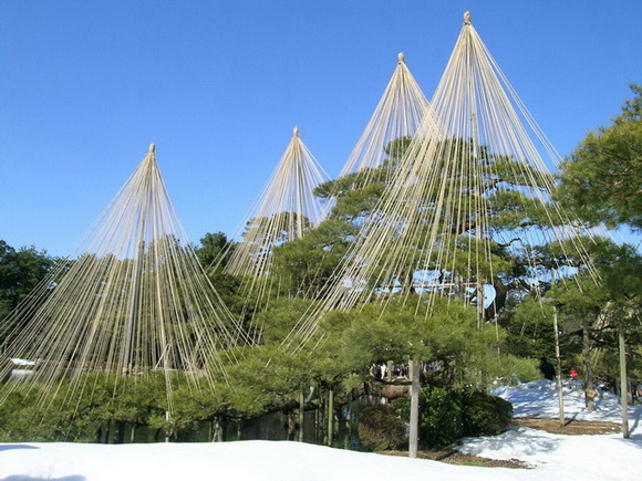 トリップアドバイザー