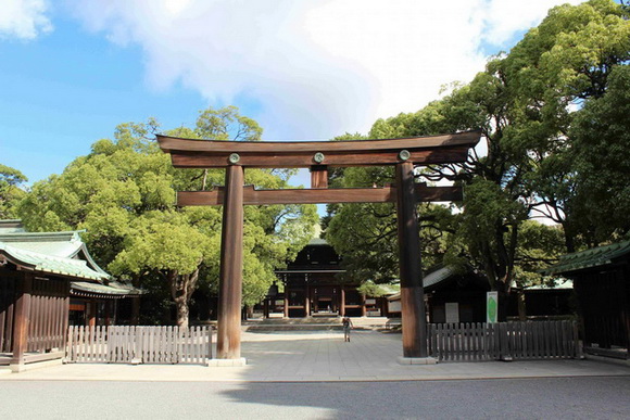 トリップアドバイザー