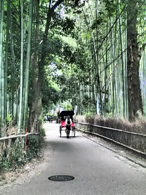 トリップアドバイザー