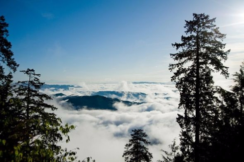 西武鉄道夜行特急