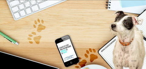 Bring Your Dog to Work Day