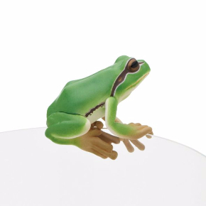 カエル♡ ゆらゆらカエル | ガーデンオブジェ・ガーデン雑貨 通販