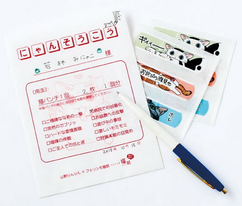 にゃんそうこう