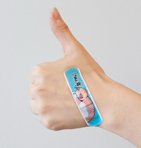 にゃんそうこう