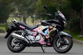スズキ GSR250F ブラック 鈴乃木凛仕様車