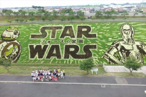 田んぼアート
