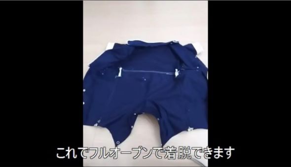 赤子一振