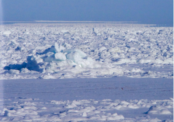 知床蜃気楼読本3