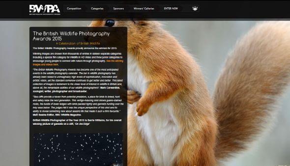 野生生物写真アワード