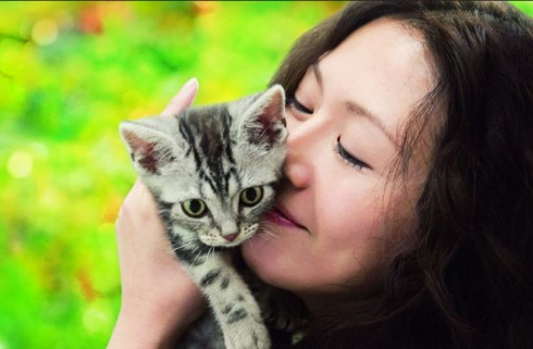 ねこ