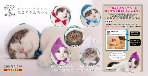 ねこずきんちゃん