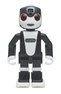 RoBoHoN
