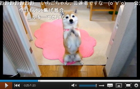 五郎丸ポーズでおねだり