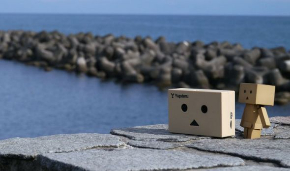 ダンボードラレコ