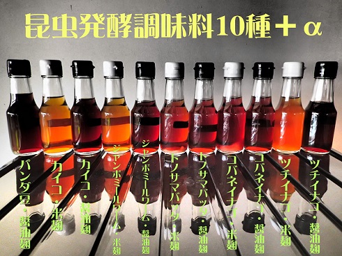 昆虫発酵調味料