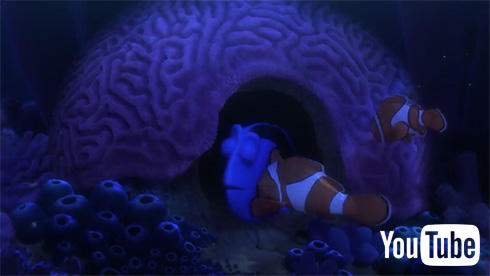 ニモたちおなじみのキャラも総出演！