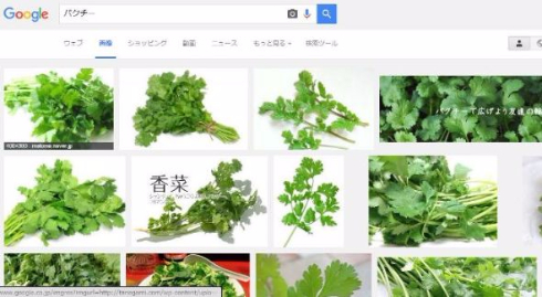 画像