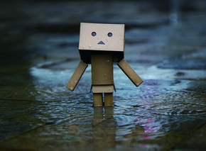 ダンボーTカード