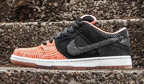 Nike SB Premier Fish Ladder