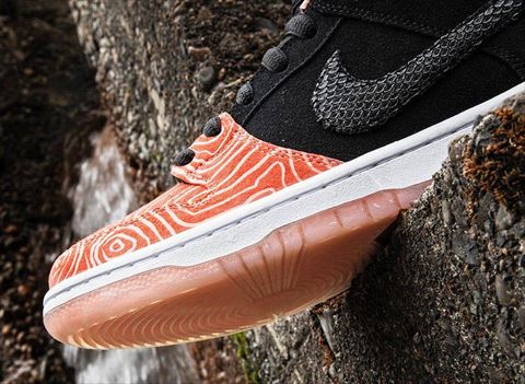 Nike SB Premier Fish Ladder