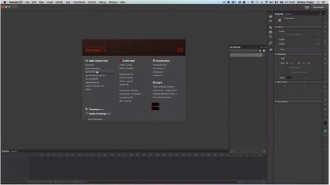 Adobe Animate CC
