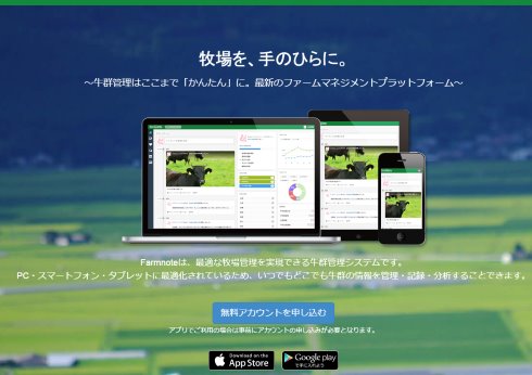 プラットフォーム