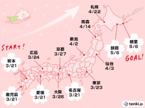 2015天気ランキング
