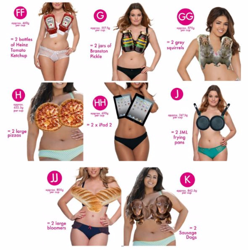 おっぱいの重さ