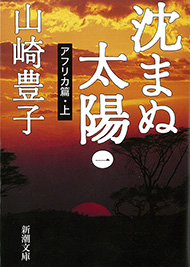 沈まぬ太陽