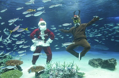 今月のいきもの