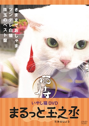 猫侍いやし猫DVD