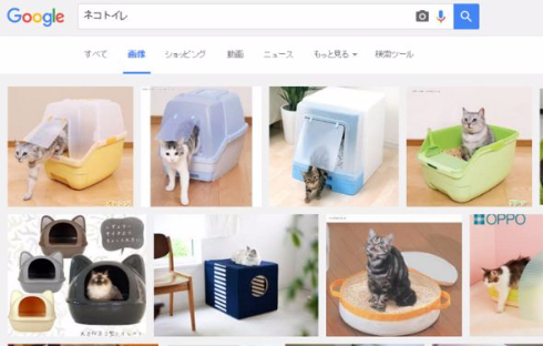 ネコトイレ