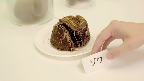 「利きうんち」に挑むムツゴロウさん
