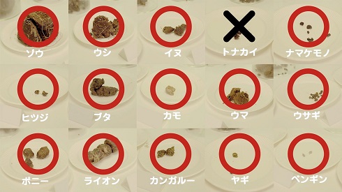 「利きうんち」に挑むムツゴロウさん
