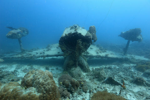 撮影された二式水戦