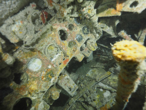 撮影された二式水戦