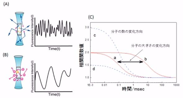 アルツハイマーなどの初期診断