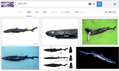 画像検索2