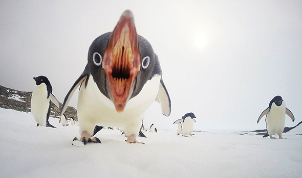 Photo and caption by Clinton Berry / National Geographic Your Shot