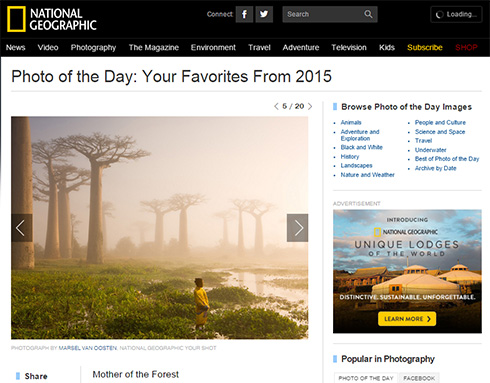Photo and caption by Marsel van Oosten / National Geographic Your Shot