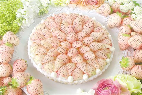 キル フェ ボン