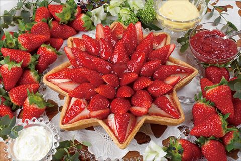 キル フェ ボン