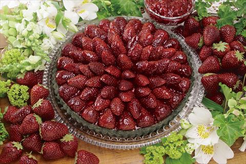 キル フェ ボン